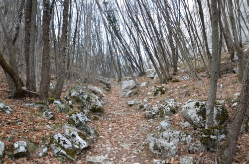 Passeggiata archeologica Cavedine